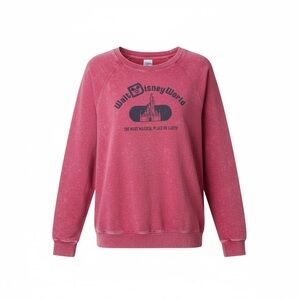 Disney World castle sweatshirt, large